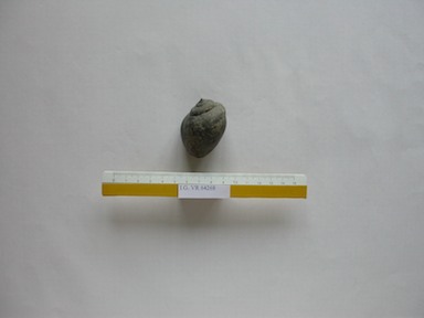 I.G.VR64268_Ampullina_vulcani
