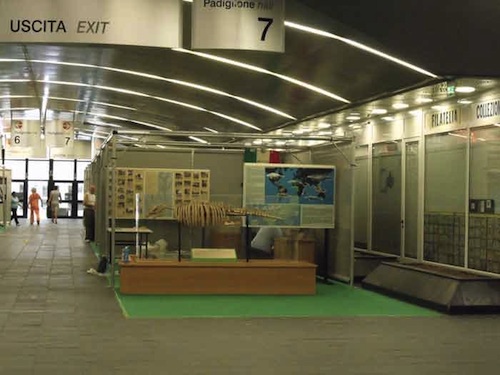 Mostra-Verona--8