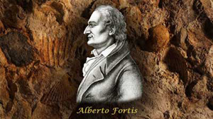 pg-Storia-Alberto-Fortis-300